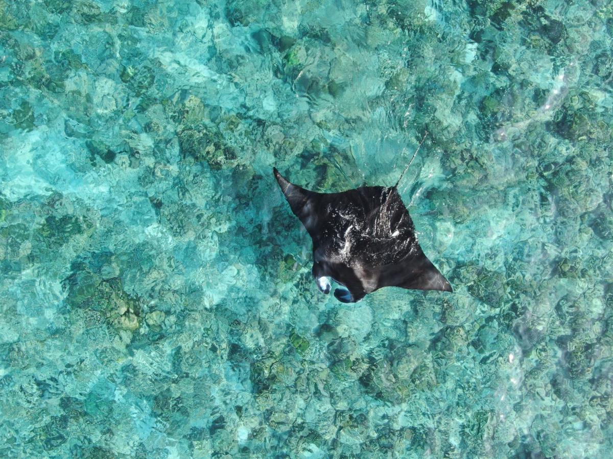 Shoreline Grand Thoddoo-Atoll Exterior foto